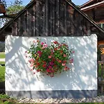 Apartment Sattlehnerhof Ramsau am Dachstein