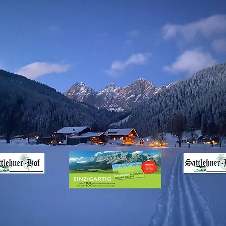 Apartment Sattlehnerhof *