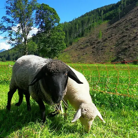 Apartman Sattlehnerhof