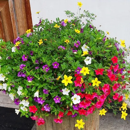 Apartman Sattlehnerhof Ramsau am Dachstein