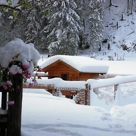 Apartman Sattlehnerhof Ramsau am Dachstein