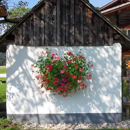 Apartment Sattlehnerhof Ramsau am Dachstein