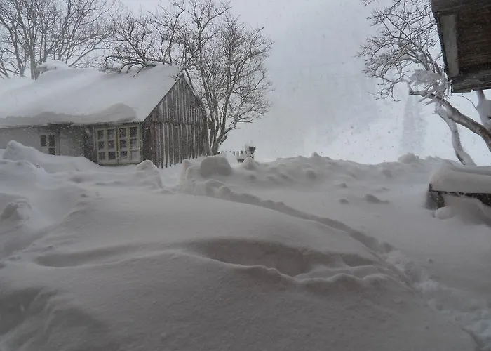 Sattlehnerhof Ramsau am Dachstein
