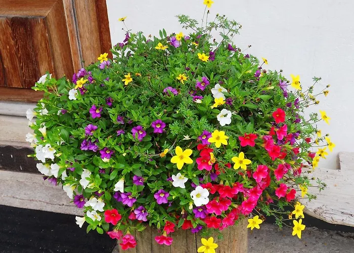 Apartment Sattlehnerhof Ramsau am Dachstein