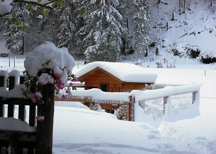 Apartment Sattlehnerhof Ramsau am Dachstein