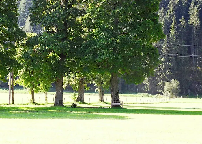 Apartment Sattlehnerhof