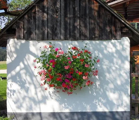 Apartment Sattlehnerhof Ramsau am Dachstein